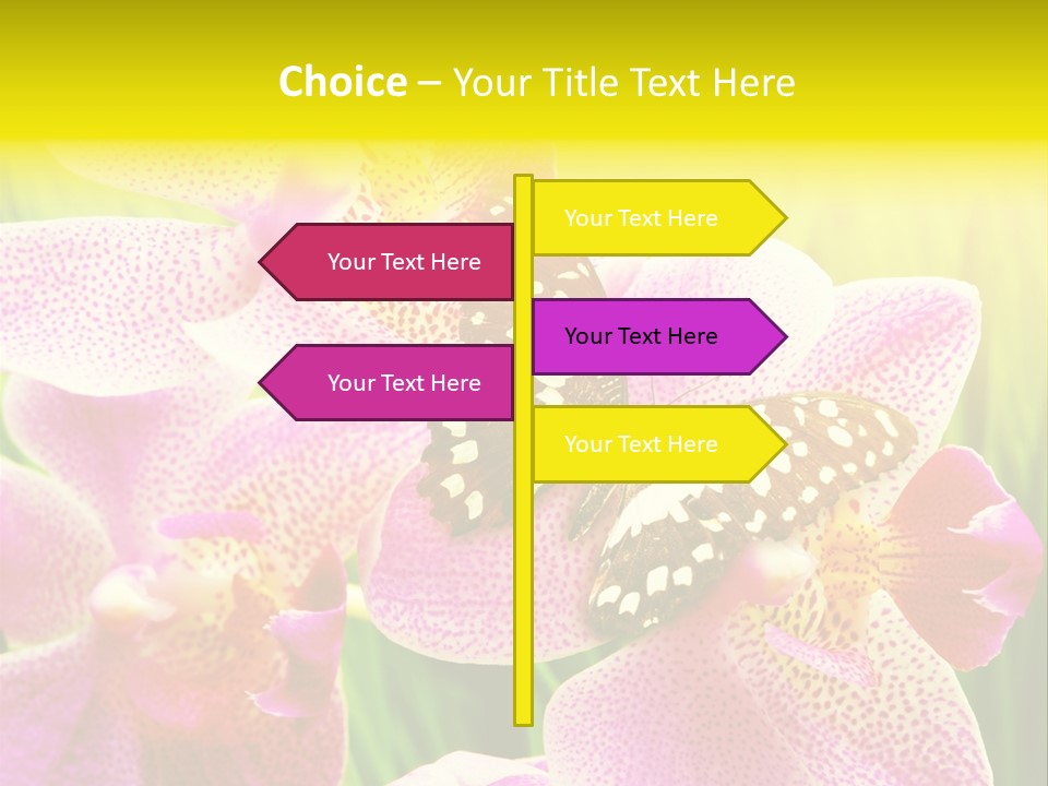 Bug Stem Nature PowerPoint Template