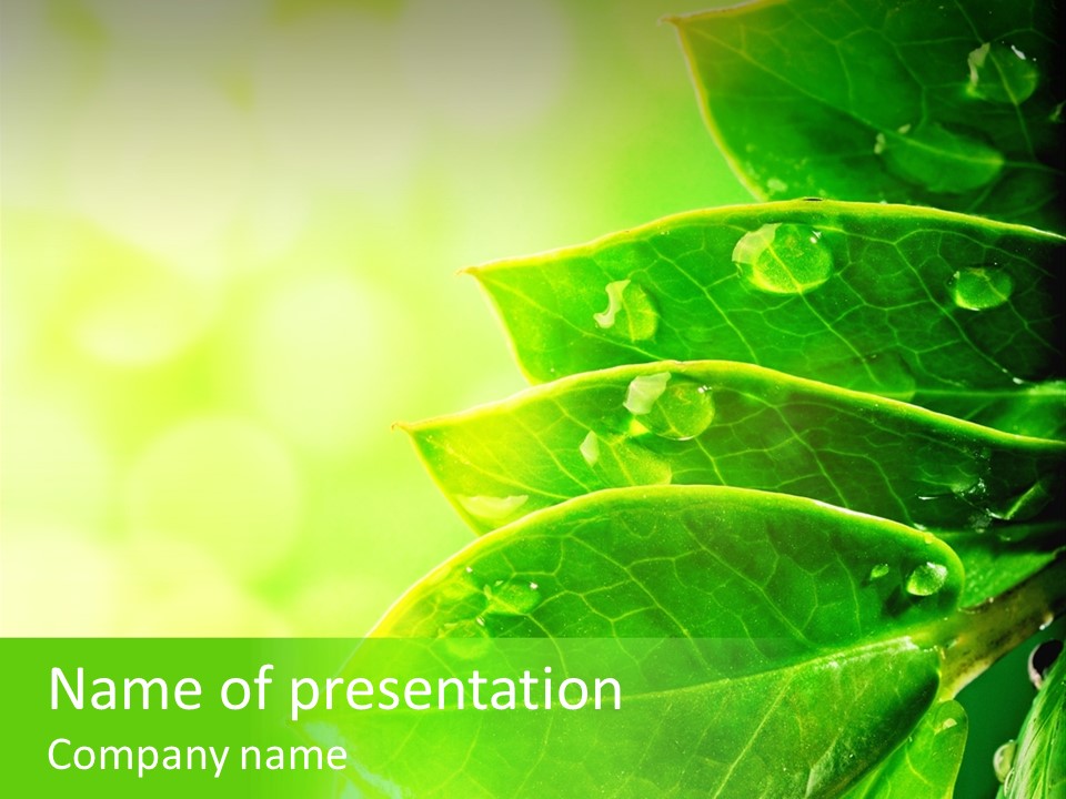 Summer Outdoor Biology PowerPoint Template