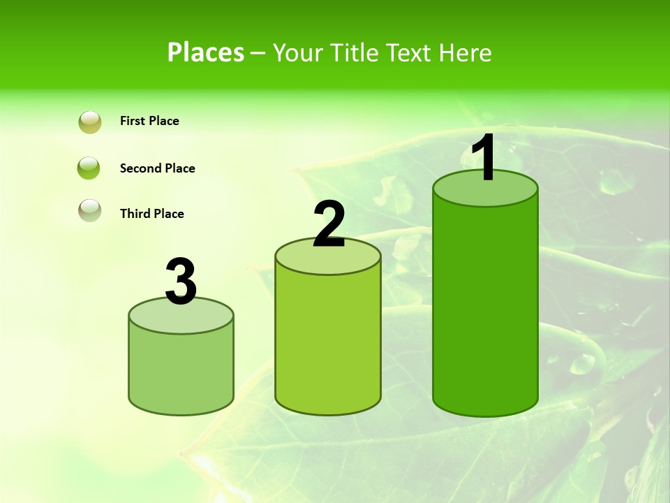 Summer Outdoor Biology PowerPoint Template