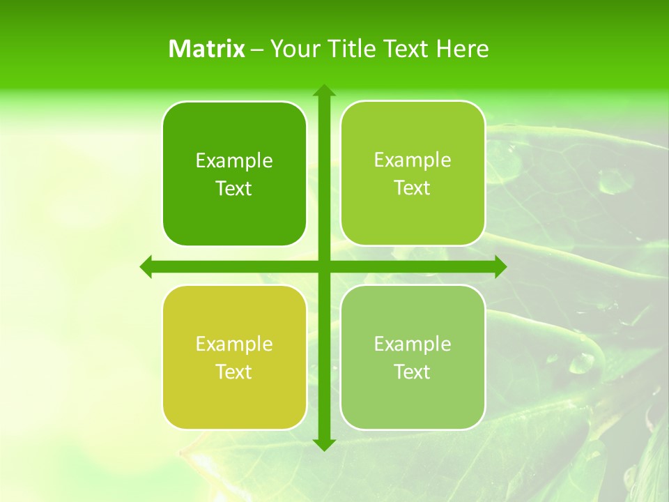 Summer Outdoor Biology PowerPoint Template