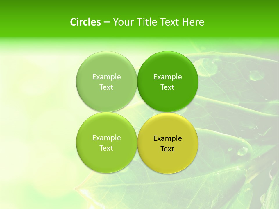 Summer Outdoor Biology PowerPoint Template