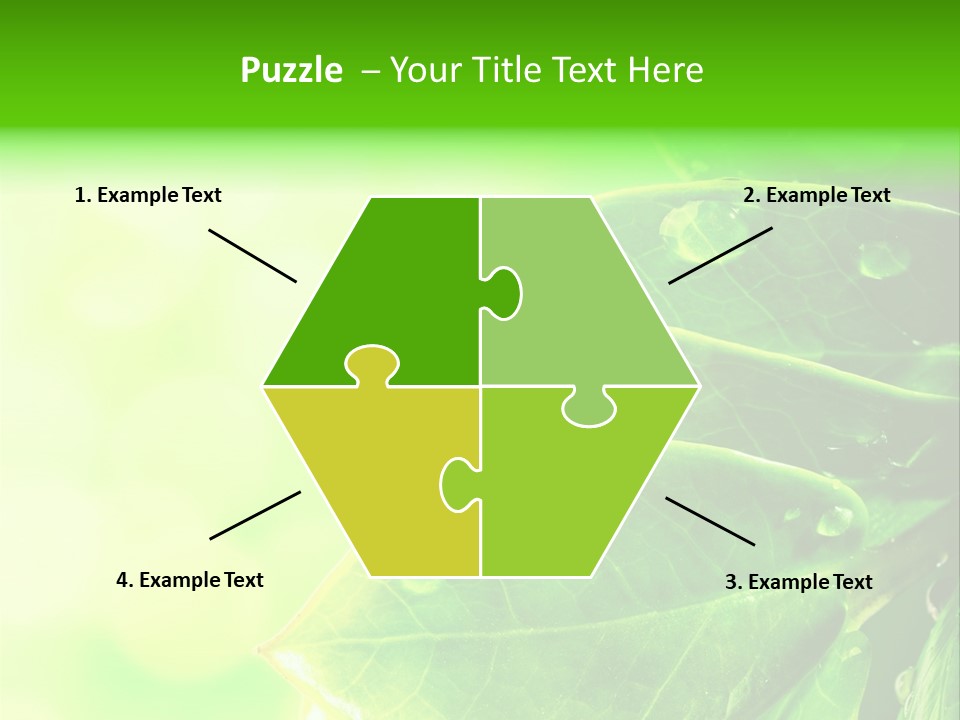 Summer Outdoor Biology PowerPoint Template