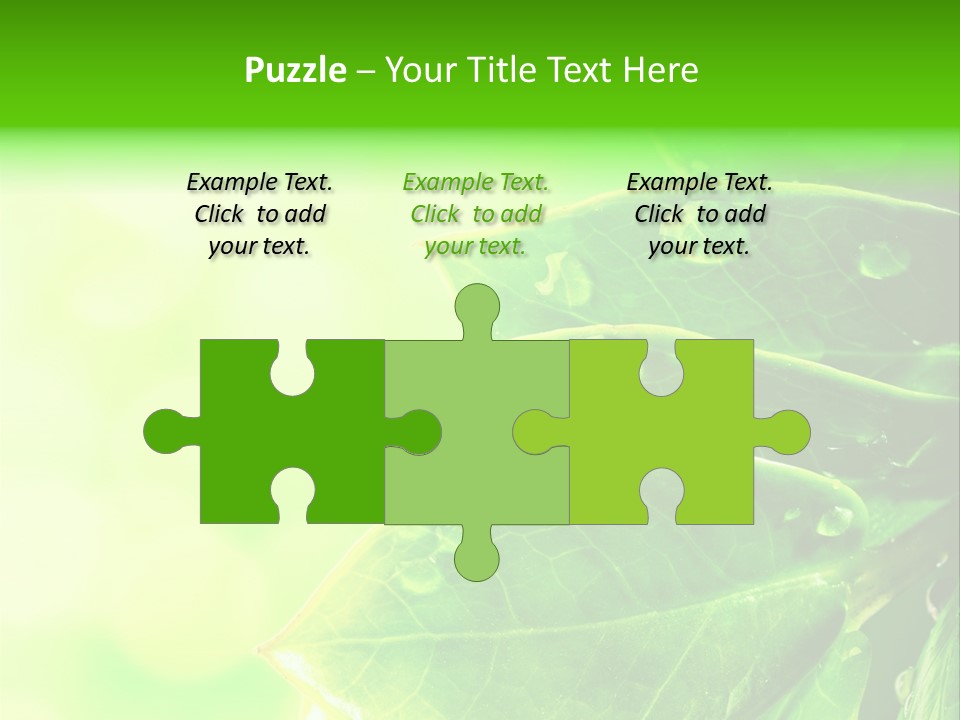 Summer Outdoor Biology PowerPoint Template