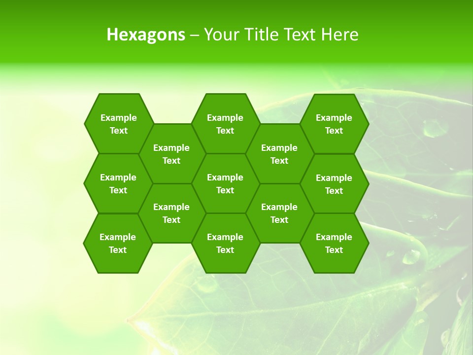 Summer Outdoor Biology PowerPoint Template