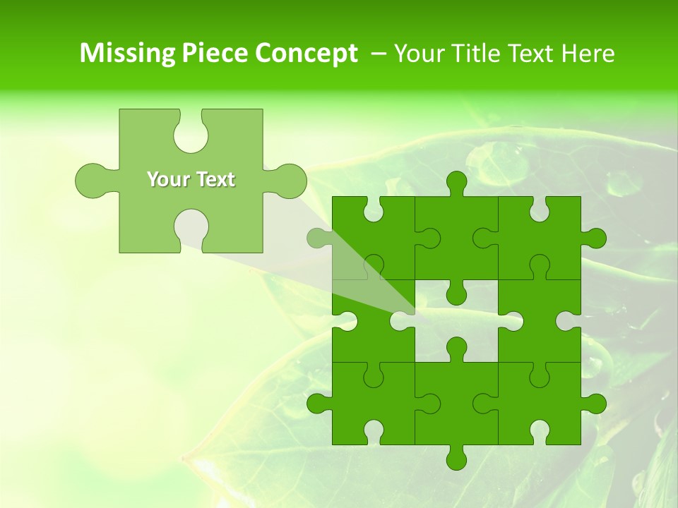 Summer Outdoor Biology PowerPoint Template