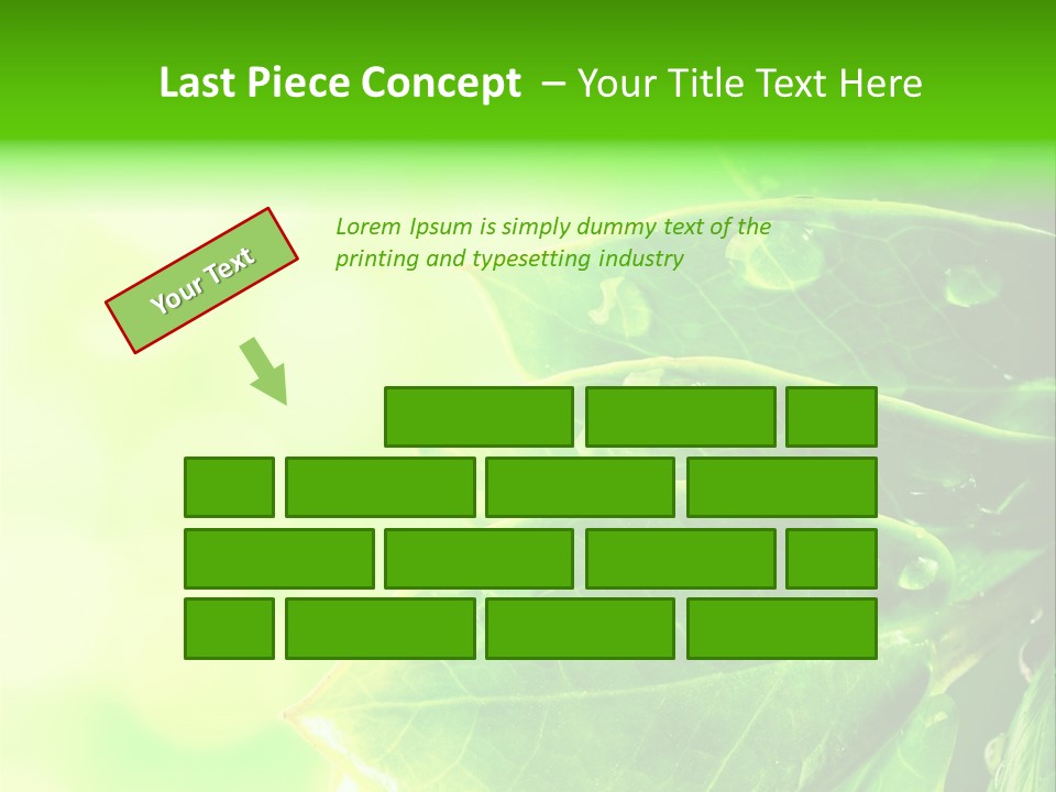 Summer Outdoor Biology PowerPoint Template