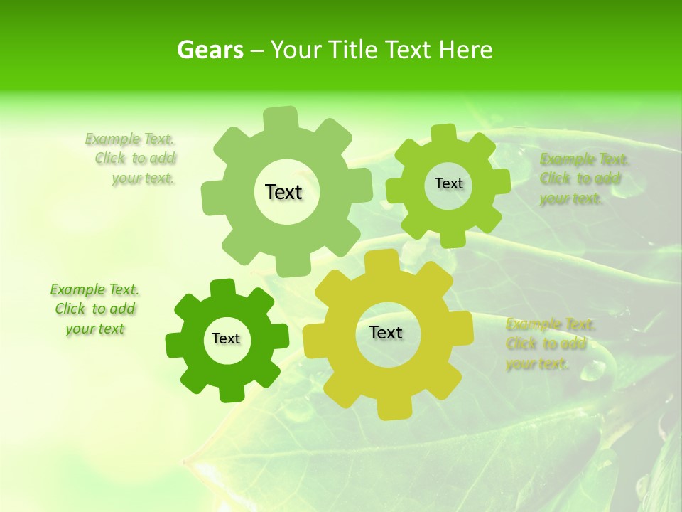 Summer Outdoor Biology PowerPoint Template