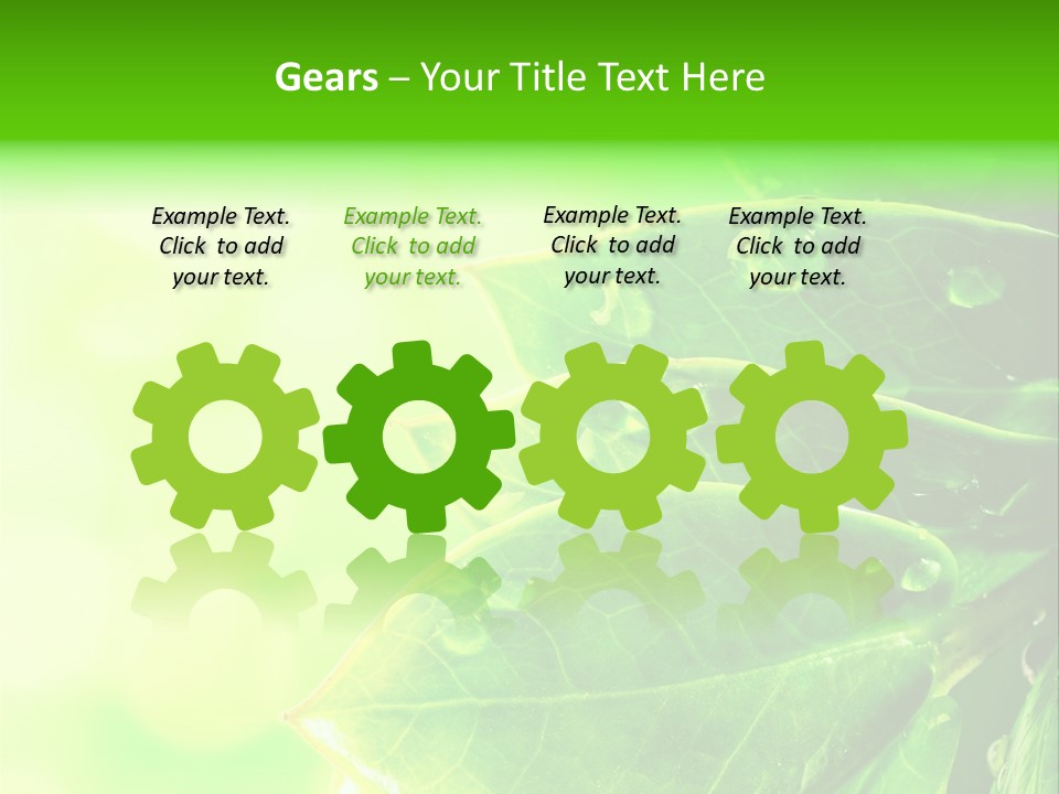 Summer Outdoor Biology PowerPoint Template