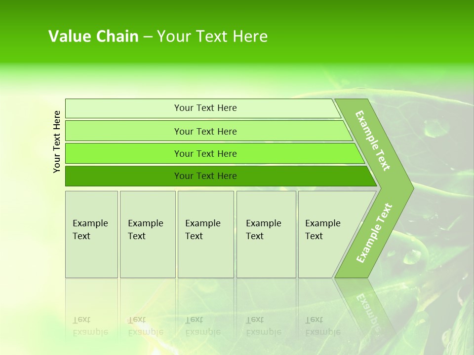 Summer Outdoor Biology PowerPoint Template