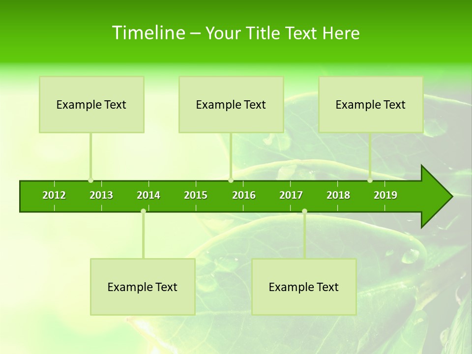 Summer Outdoor Biology PowerPoint Template