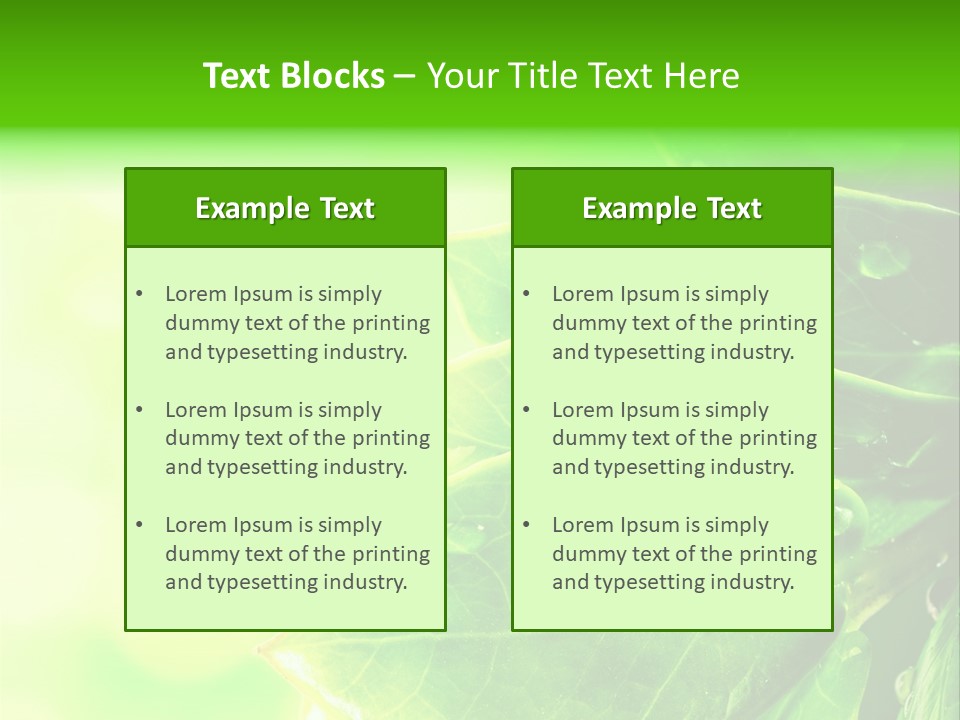 Summer Outdoor Biology PowerPoint Template