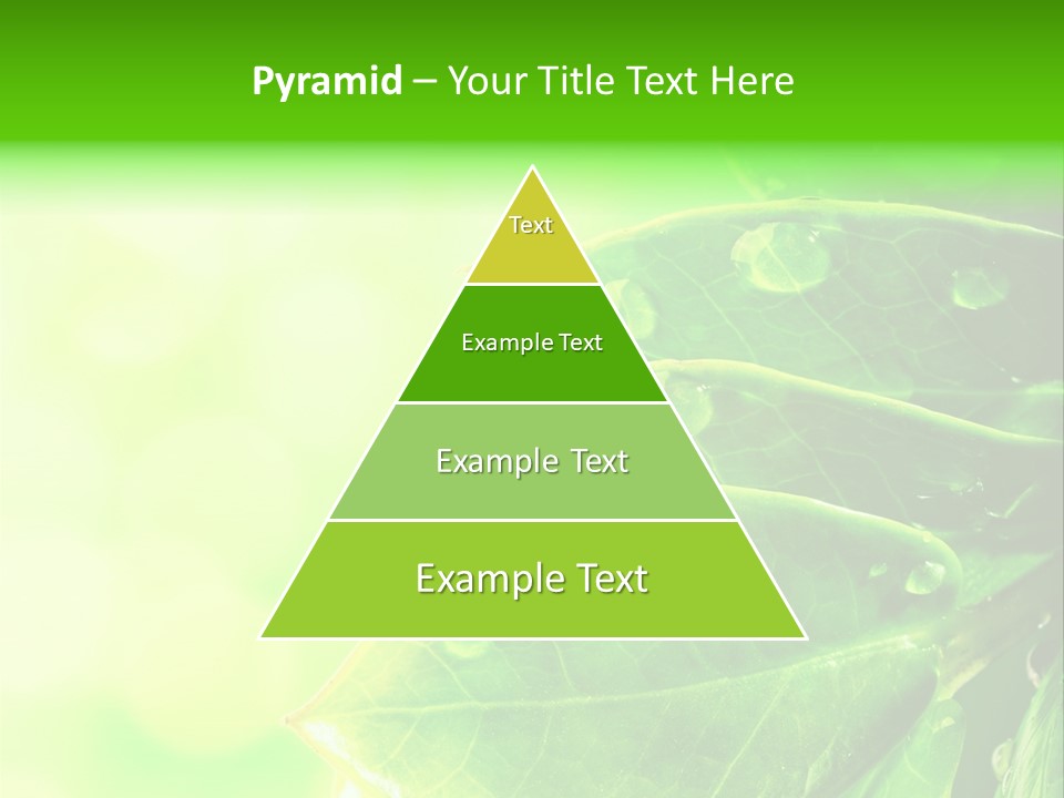 Summer Outdoor Biology PowerPoint Template