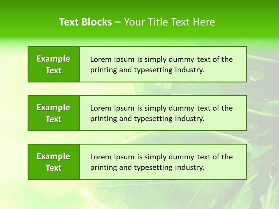 Summer Outdoor Biology PowerPoint Template