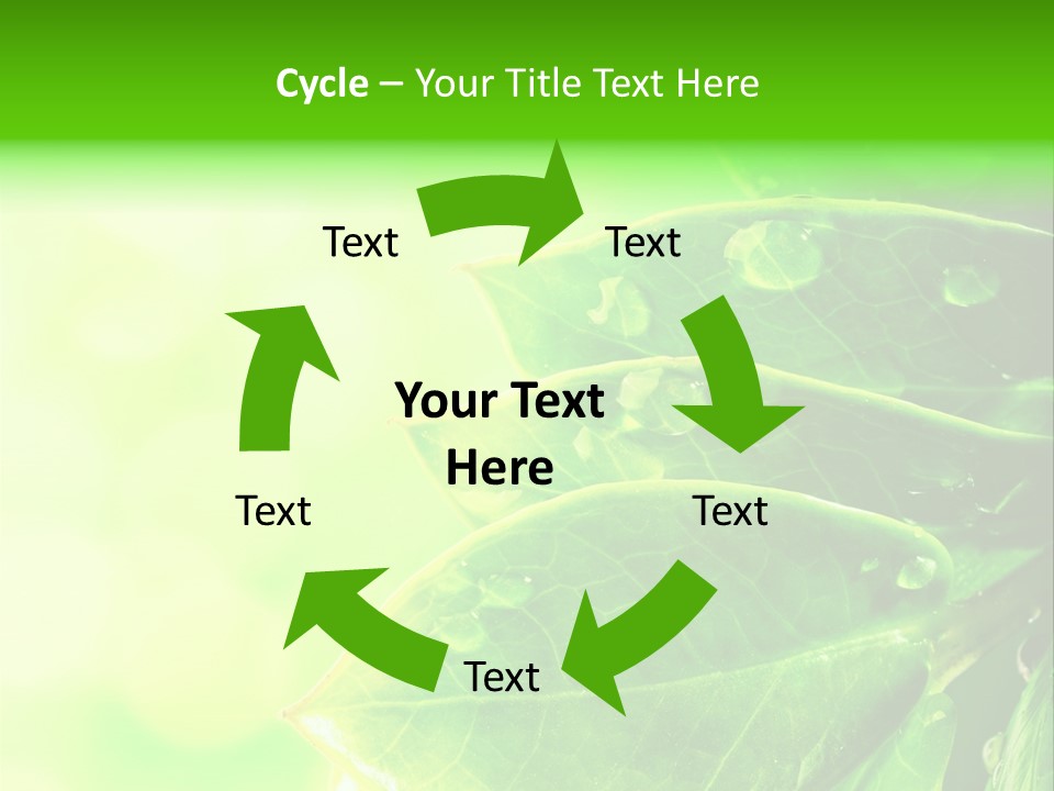 Summer Outdoor Biology PowerPoint Template