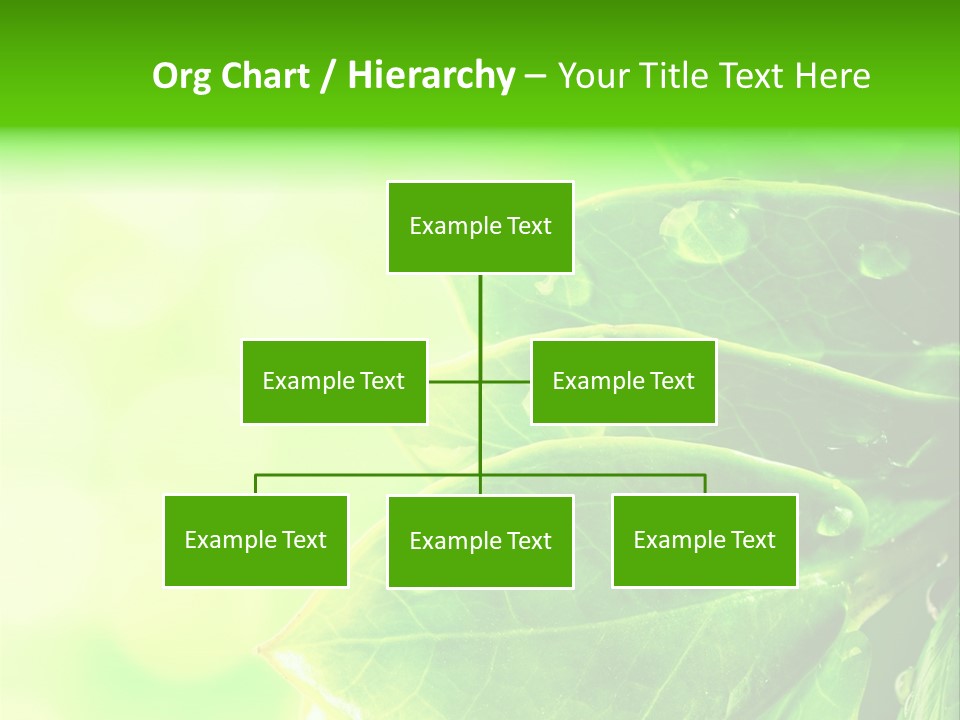 Summer Outdoor Biology PowerPoint Template