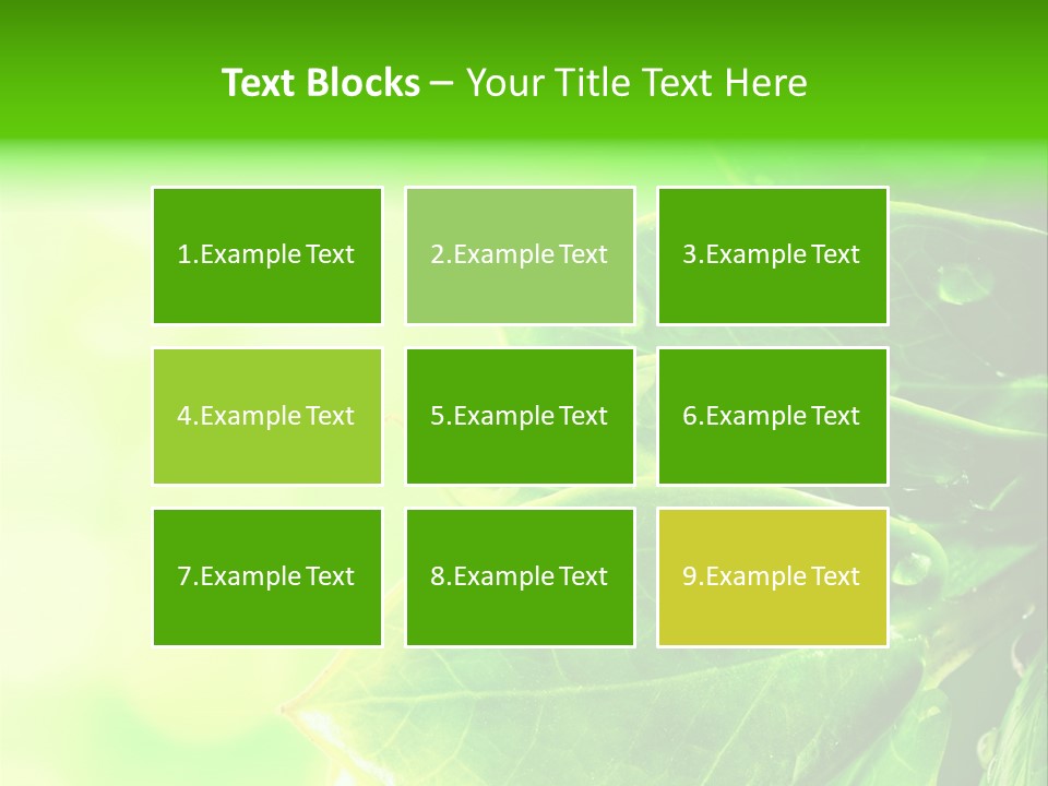 Summer Outdoor Biology PowerPoint Template