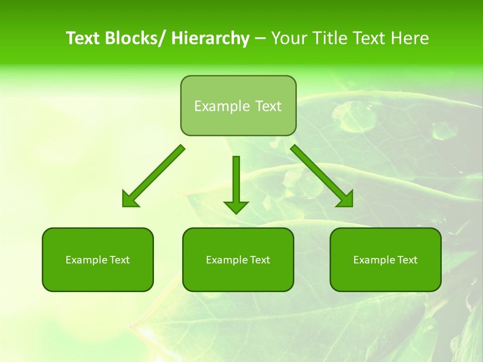 Summer Outdoor Biology PowerPoint Template