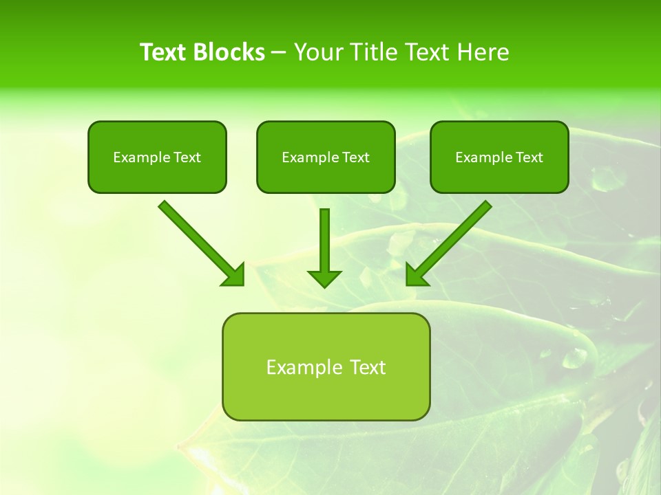 Summer Outdoor Biology PowerPoint Template
