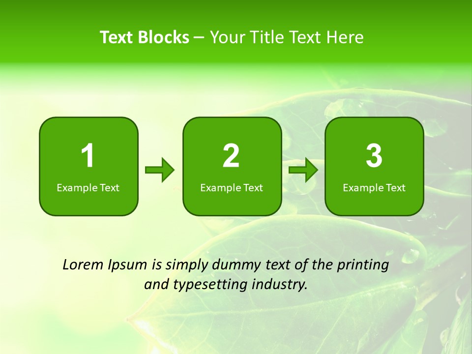 Summer Outdoor Biology PowerPoint Template