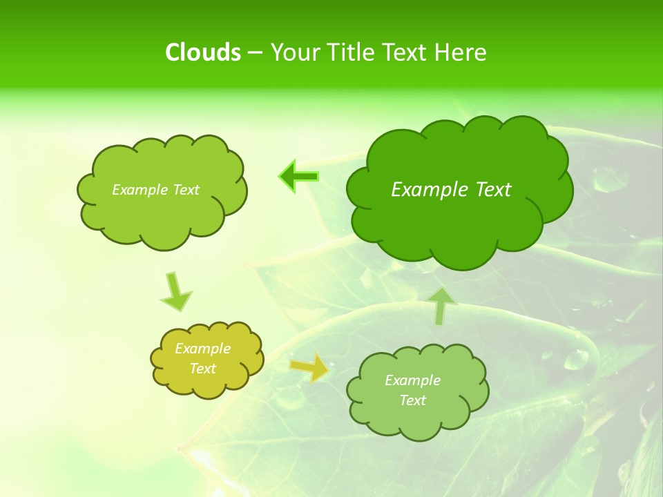 Summer Outdoor Biology PowerPoint Template