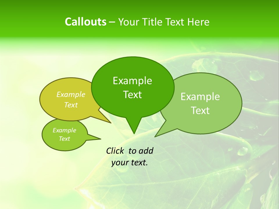 Summer Outdoor Biology PowerPoint Template