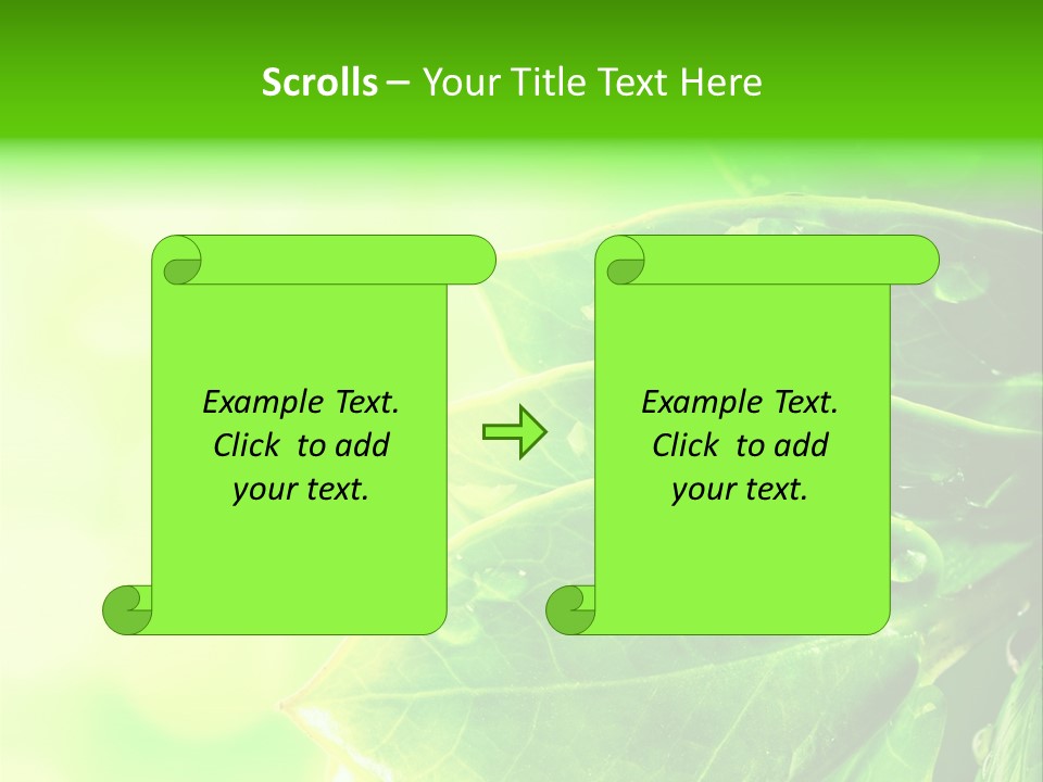 Summer Outdoor Biology PowerPoint Template