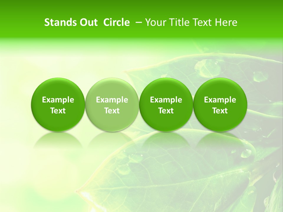 Summer Outdoor Biology PowerPoint Template