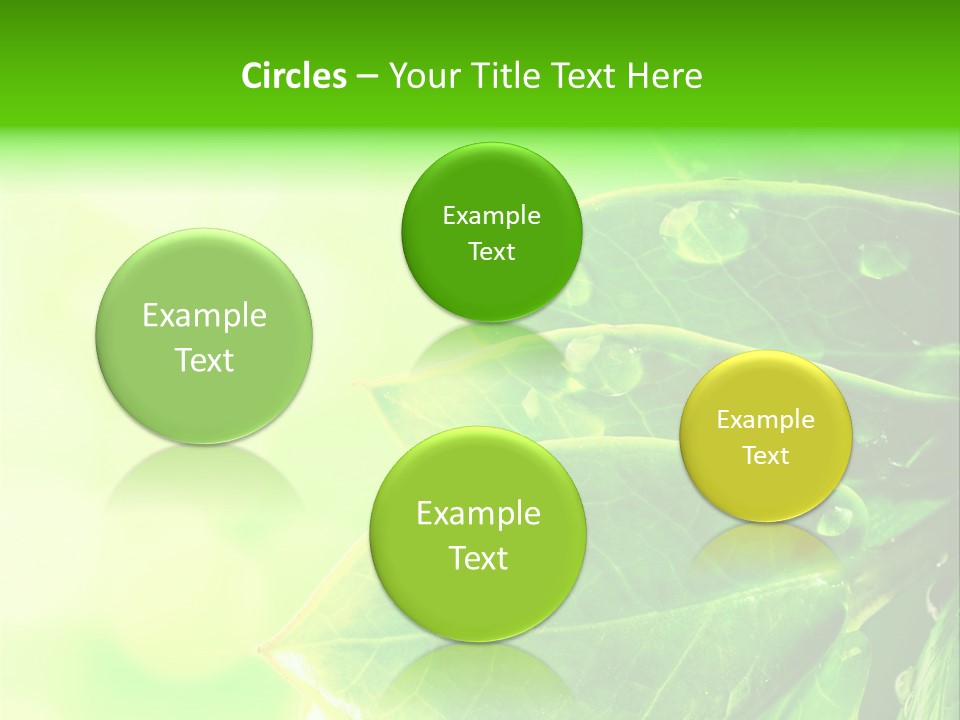 Summer Outdoor Biology PowerPoint Template