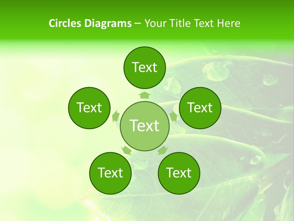 Summer Outdoor Biology PowerPoint Template