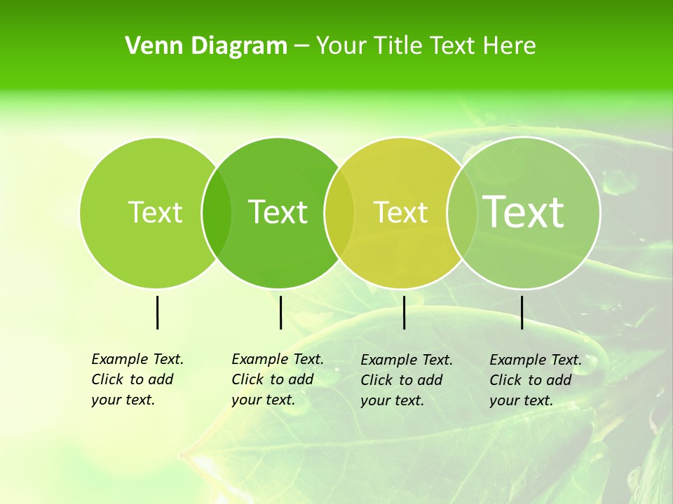 Summer Outdoor Biology PowerPoint Template