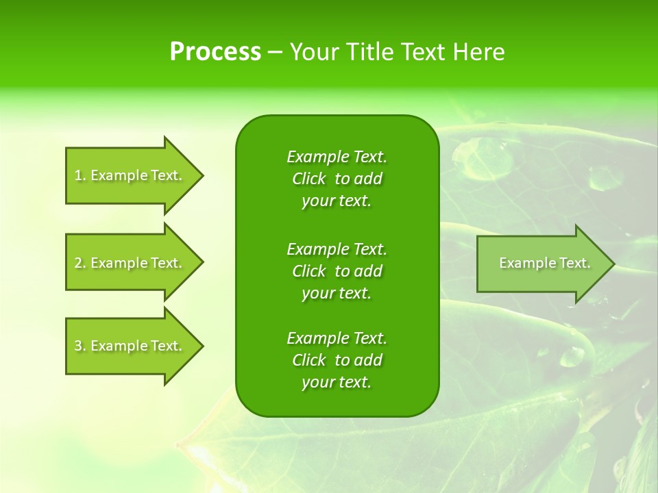 Summer Outdoor Biology PowerPoint Template