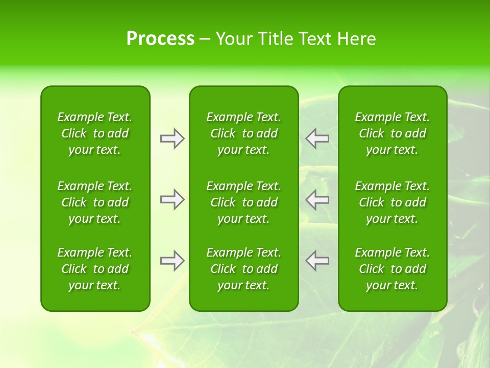 Summer Outdoor Biology PowerPoint Template