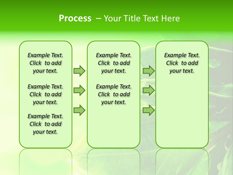 Summer Outdoor Biology PowerPoint Template