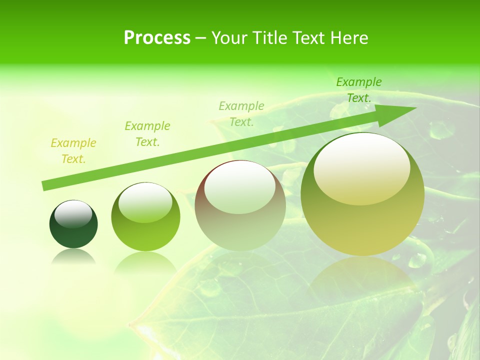 Summer Outdoor Biology PowerPoint Template