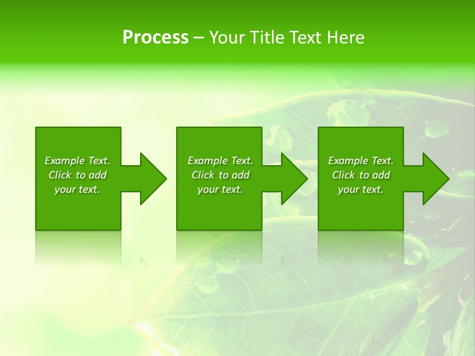 Summer Outdoor Biology PowerPoint Template