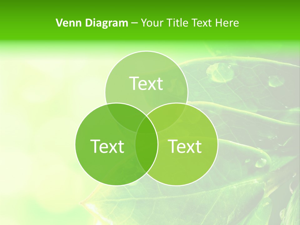 Summer Outdoor Biology PowerPoint Template