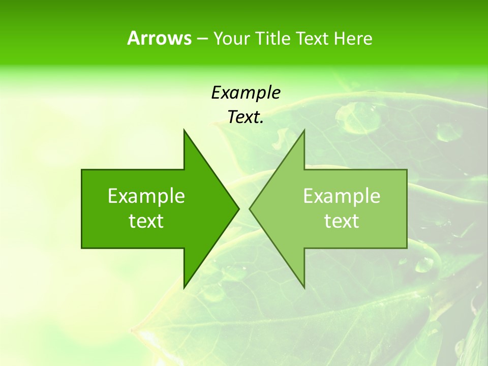 Summer Outdoor Biology PowerPoint Template