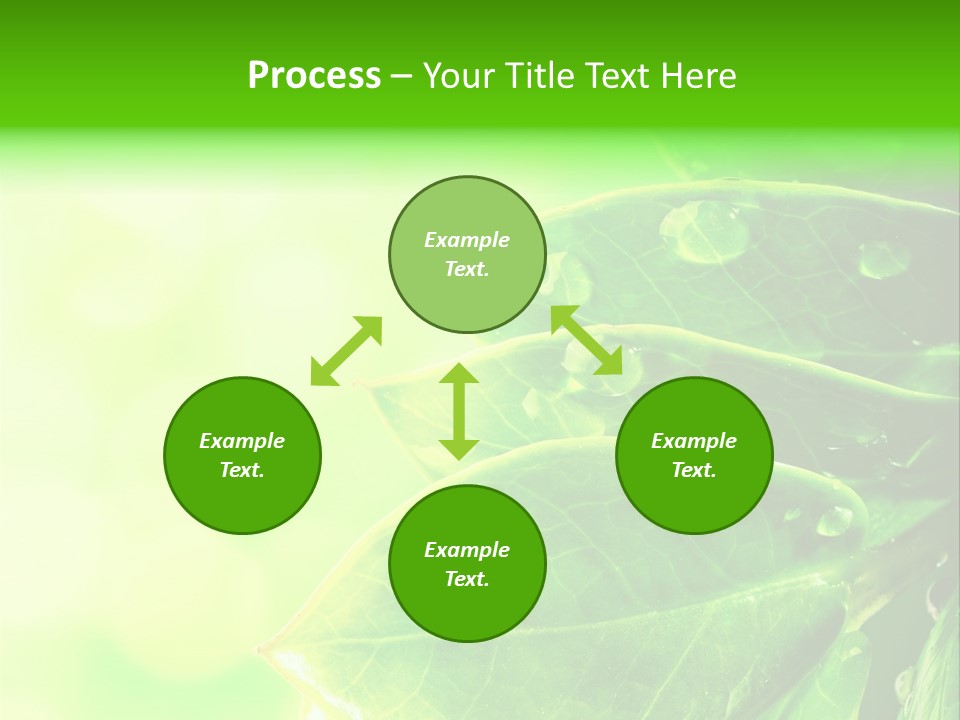 Summer Outdoor Biology PowerPoint Template