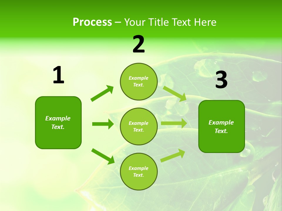 Summer Outdoor Biology PowerPoint Template