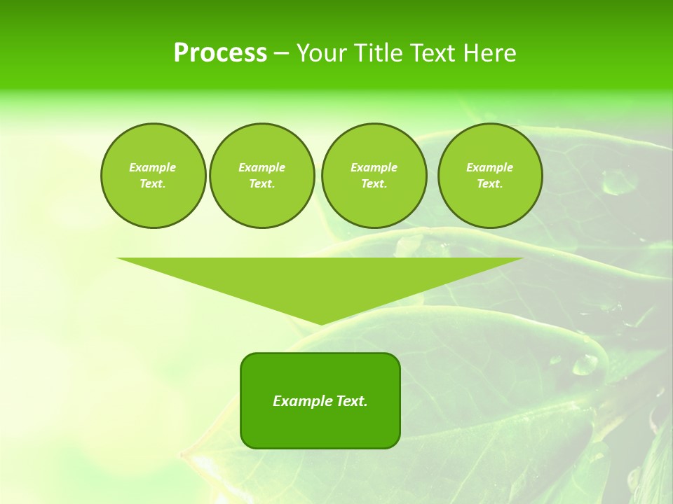 Summer Outdoor Biology PowerPoint Template