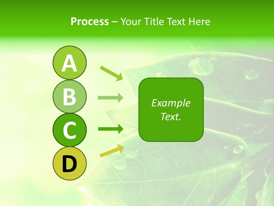 Summer Outdoor Biology PowerPoint Template
