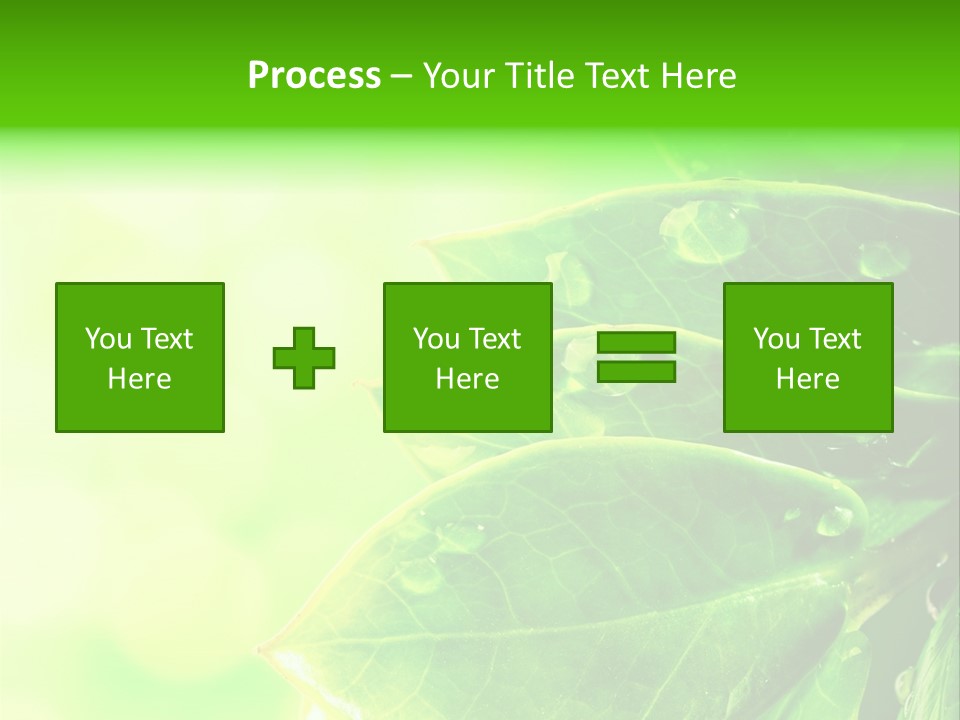 Summer Outdoor Biology PowerPoint Template