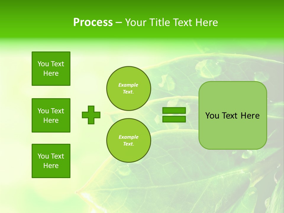 Summer Outdoor Biology PowerPoint Template