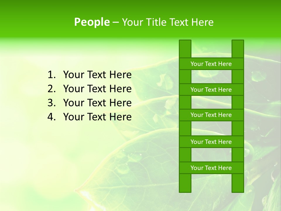 Summer Outdoor Biology PowerPoint Template