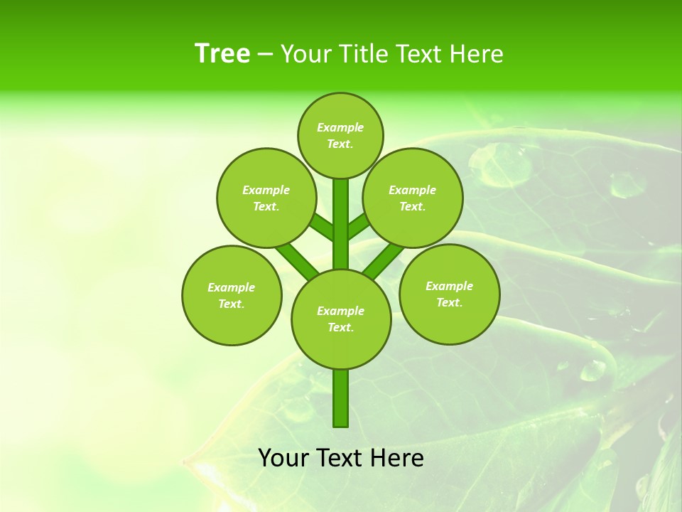 Summer Outdoor Biology PowerPoint Template