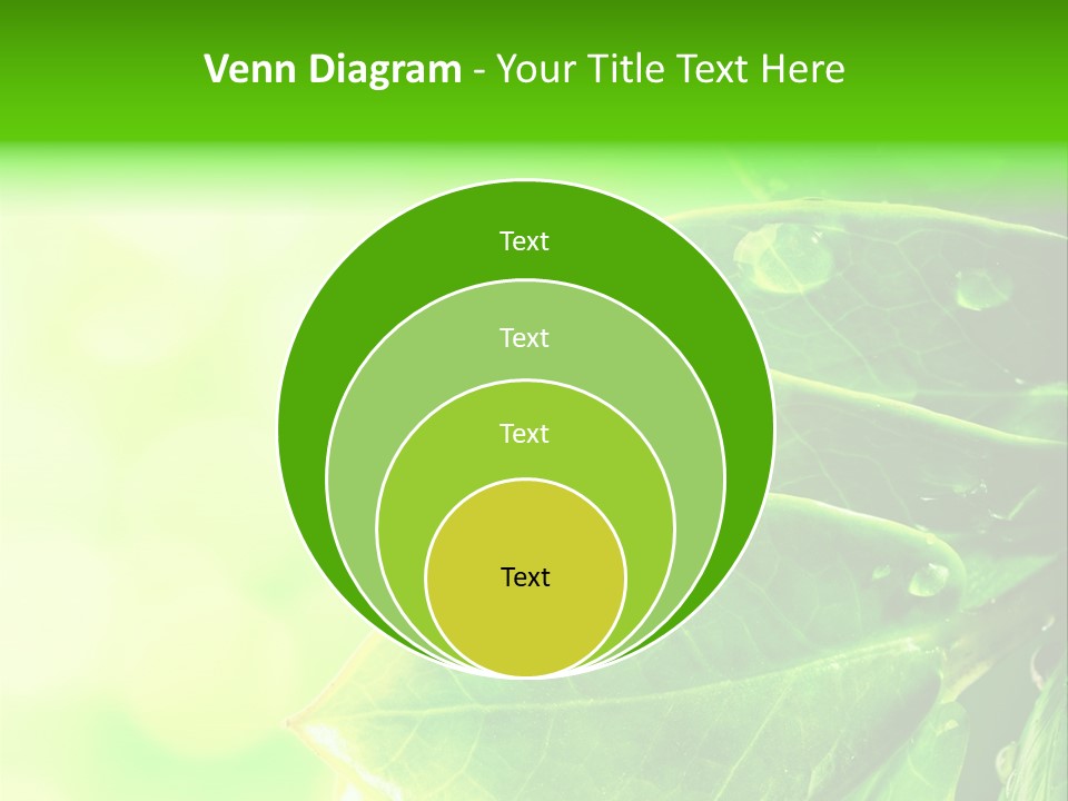Summer Outdoor Biology PowerPoint Template