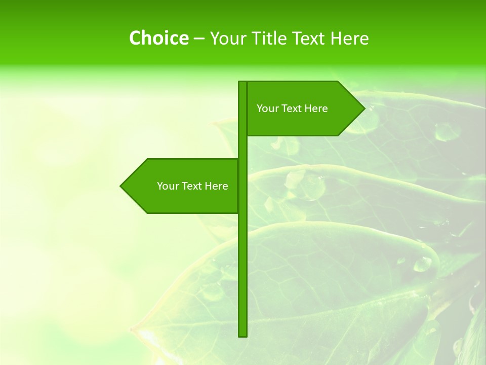 Summer Outdoor Biology PowerPoint Template