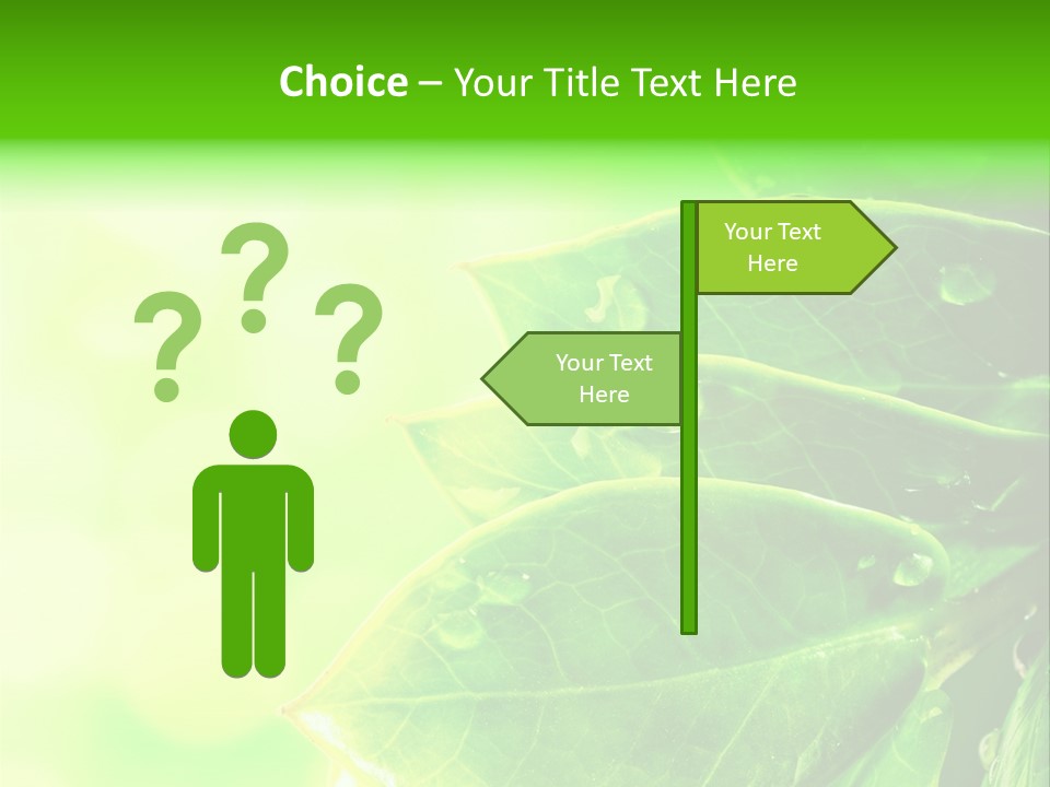 Summer Outdoor Biology PowerPoint Template