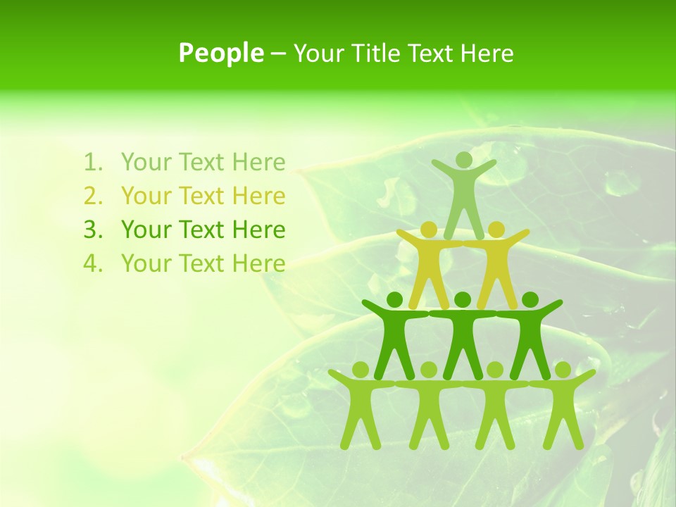 Summer Outdoor Biology PowerPoint Template