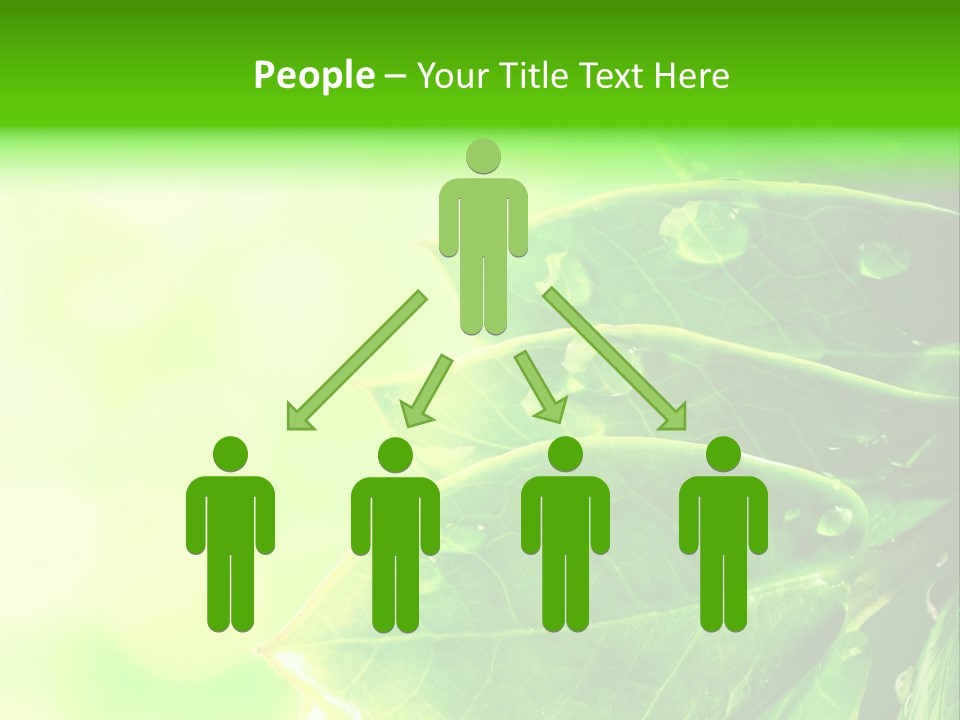 Summer Outdoor Biology PowerPoint Template